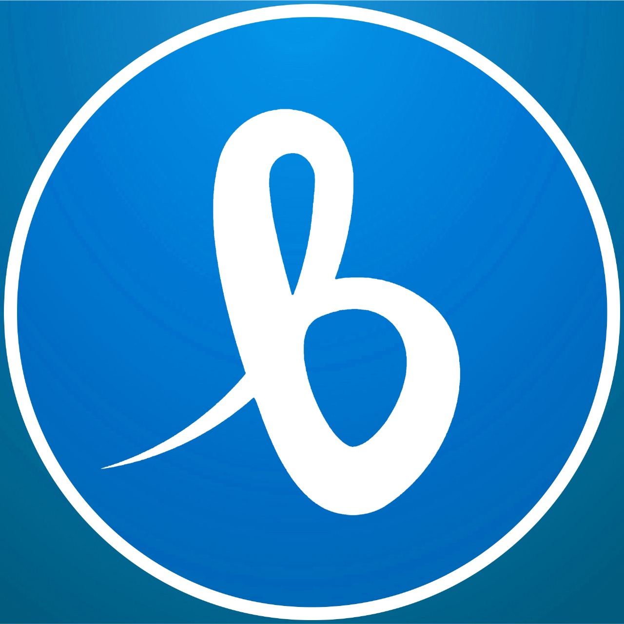 Bsma Company