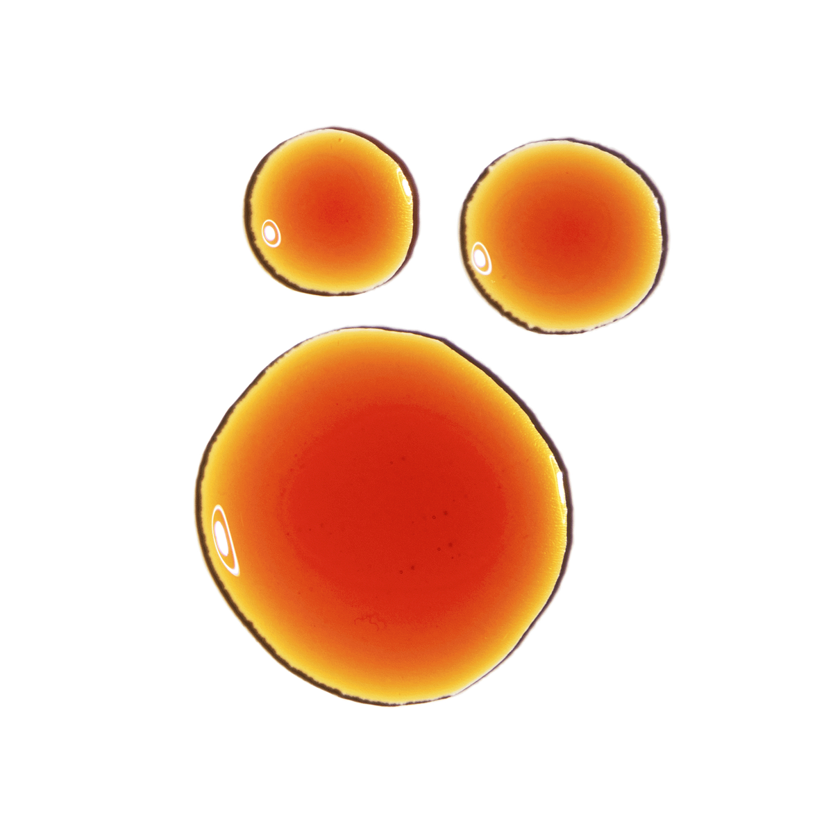 Pycnogenol 5%