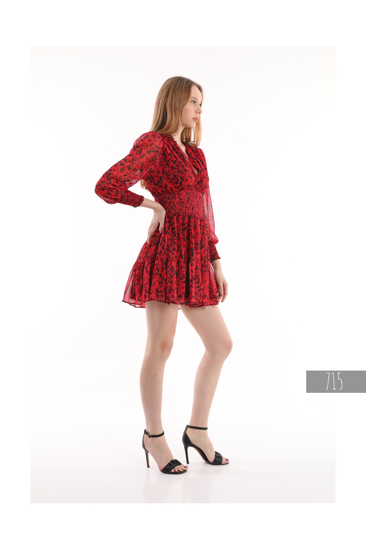 Women's Chiffon Dress