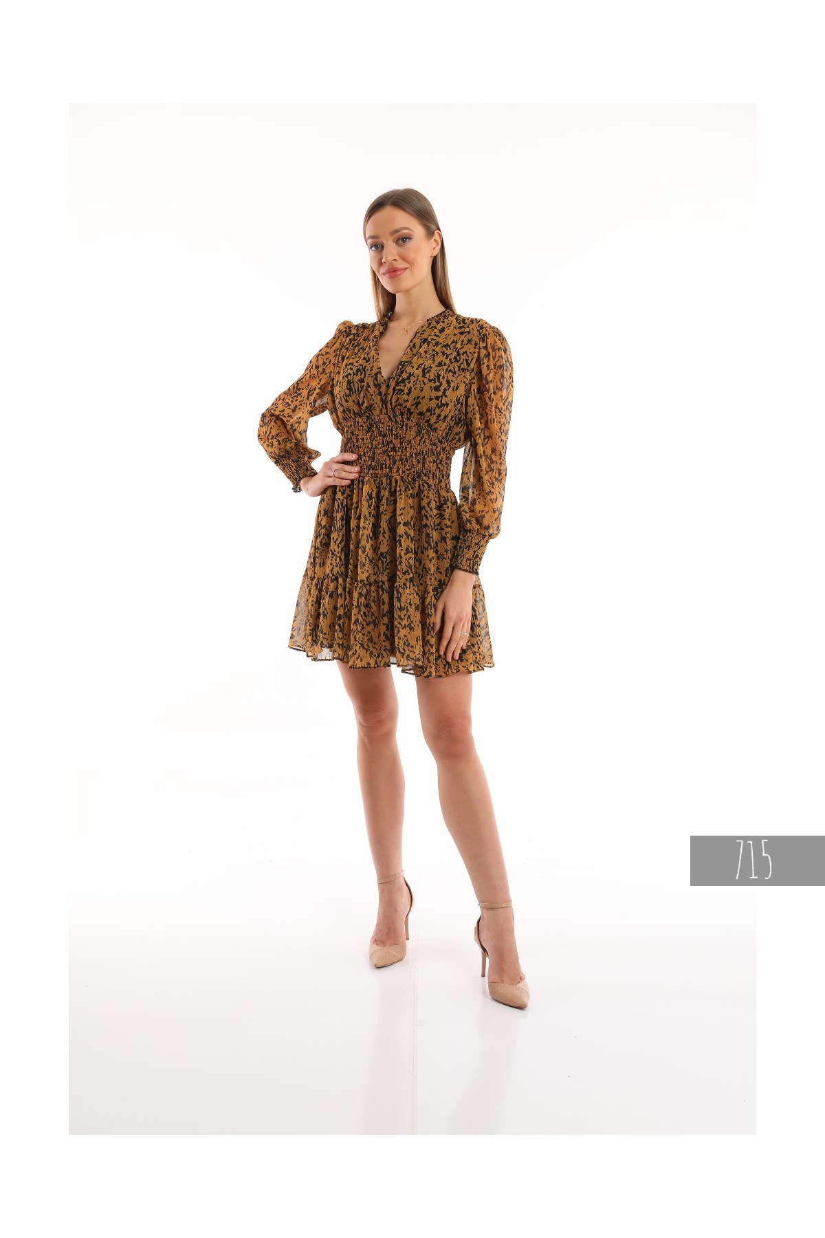 Women's Chiffon Dress