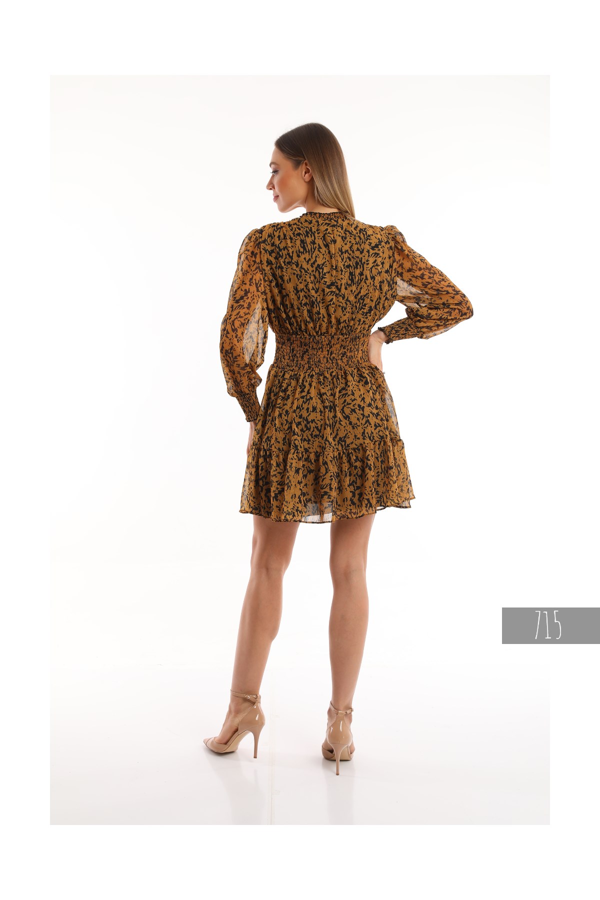 Women's Chiffon Dress