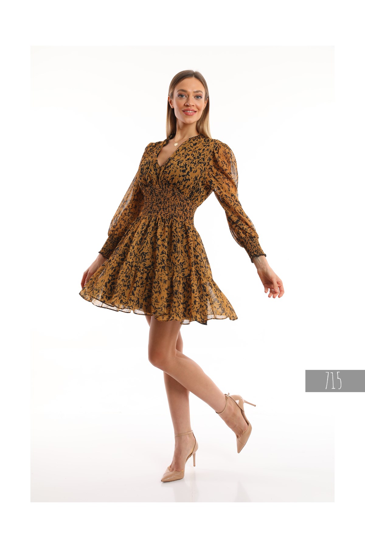 Women's Chiffon Dress