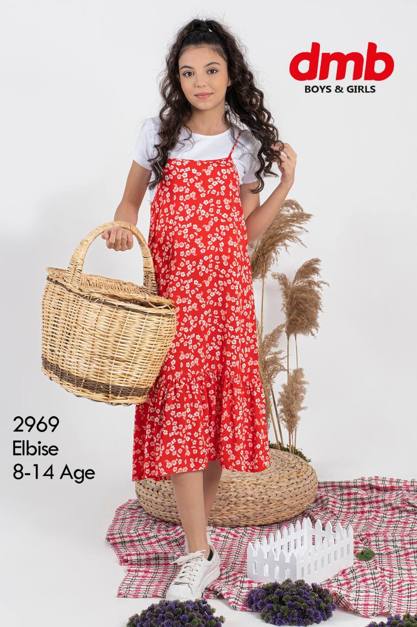 Girls Dress with T-shirt