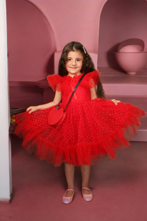 Tulle Flying Sleeves Dress