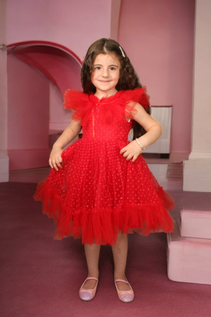 Tulle Flying Sleeves Dress