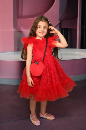 Tulle Flying Sleeves Dress