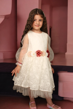 Flower Embroidered Dress