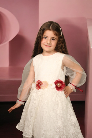 Flower Embroidered Dress