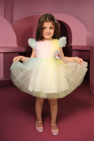 Unicorn Children's short dress