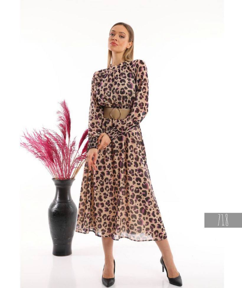 Women's Chiffon Dress