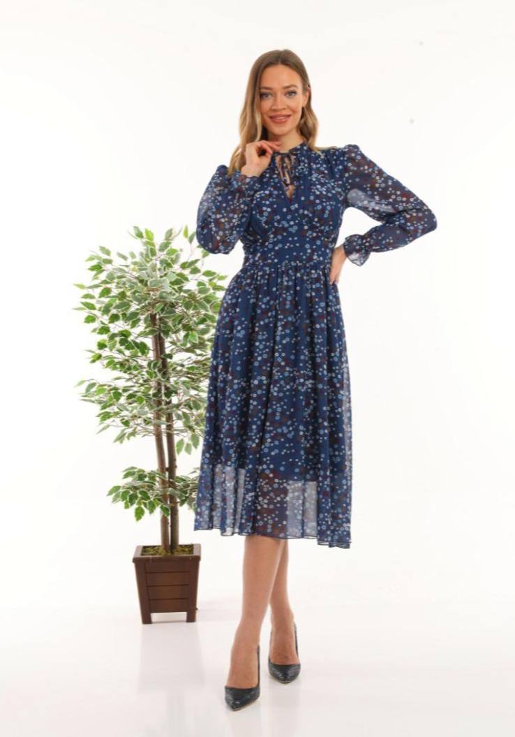 Women's Chiffon Dress