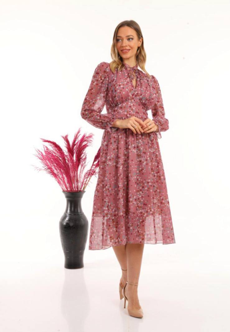 Women's Chiffon Dress