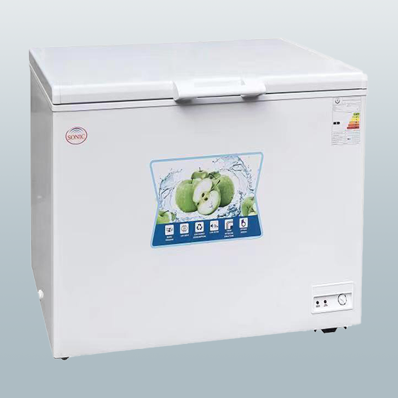 Frozen12 ft-BDW 227