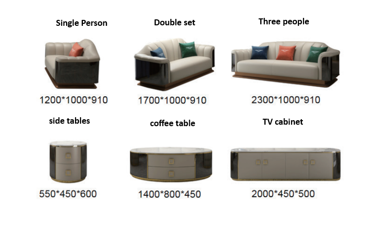 Modern sofa for living room covered in luxury leather (Set)