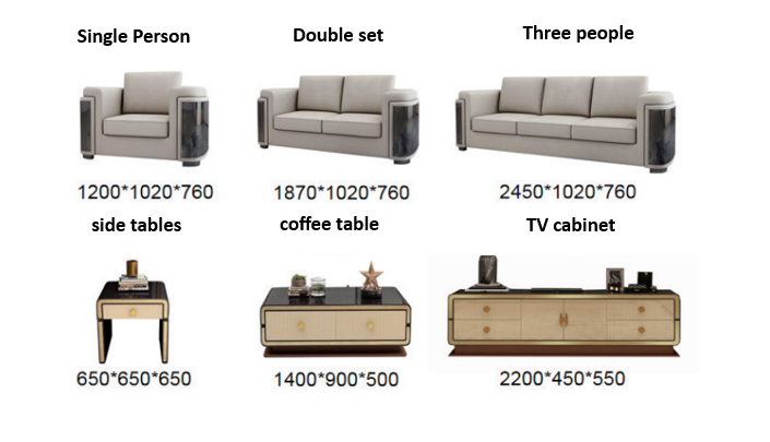Modern sofa for living room covered in luxury leather (Set)