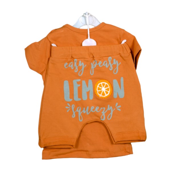 Baby Clothing Summer Set