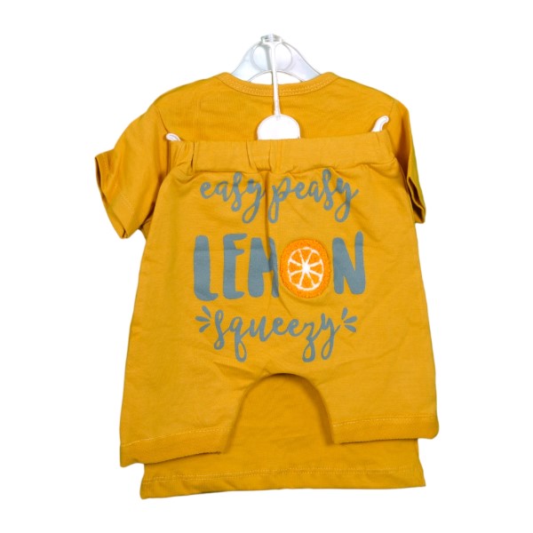 Baby Clothing Summer Set