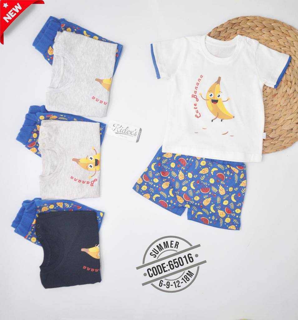 Baby Boys T-Shirt and Shorts Set