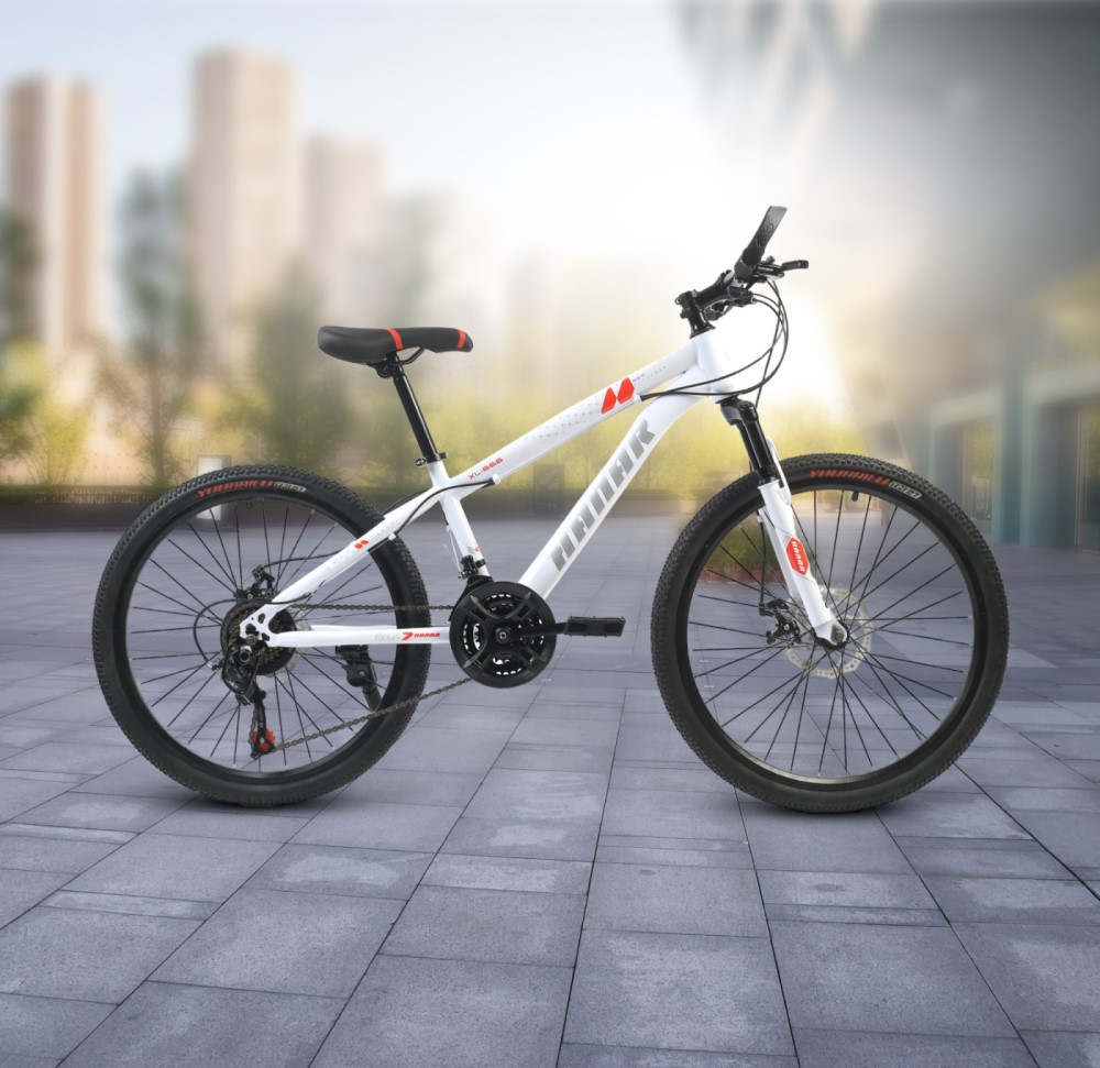 Hanar Big Wheel Bicycle Adults 24 Inch ( Steel )