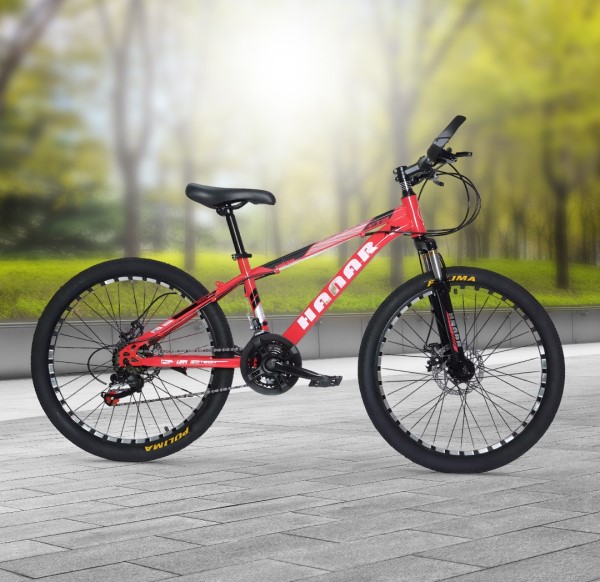 Hanar Big Wheel Bicycle Adults 24 Inch ( YZ-618/21T ) ( Steel )
