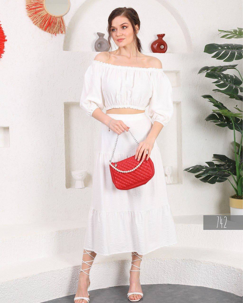 A set of skirt and a top