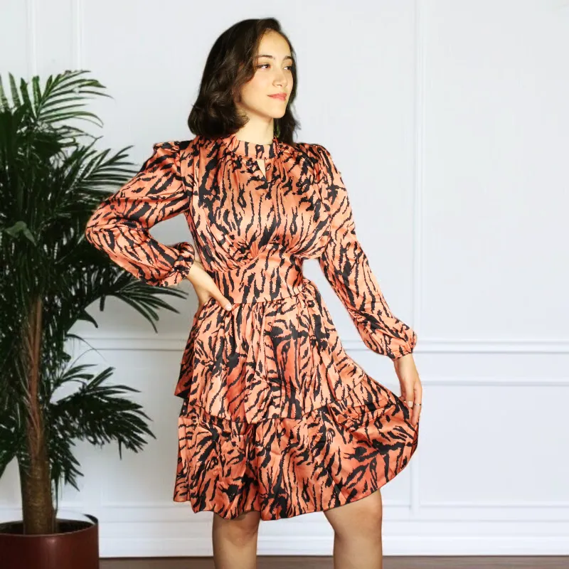 Zebra Shirred Frill Long Sleeve Mini Dress