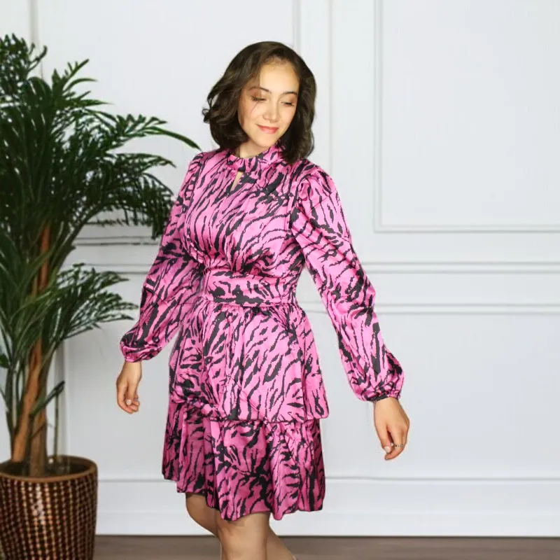 Zebra Shirred Frill Long Sleeve Mini Dress