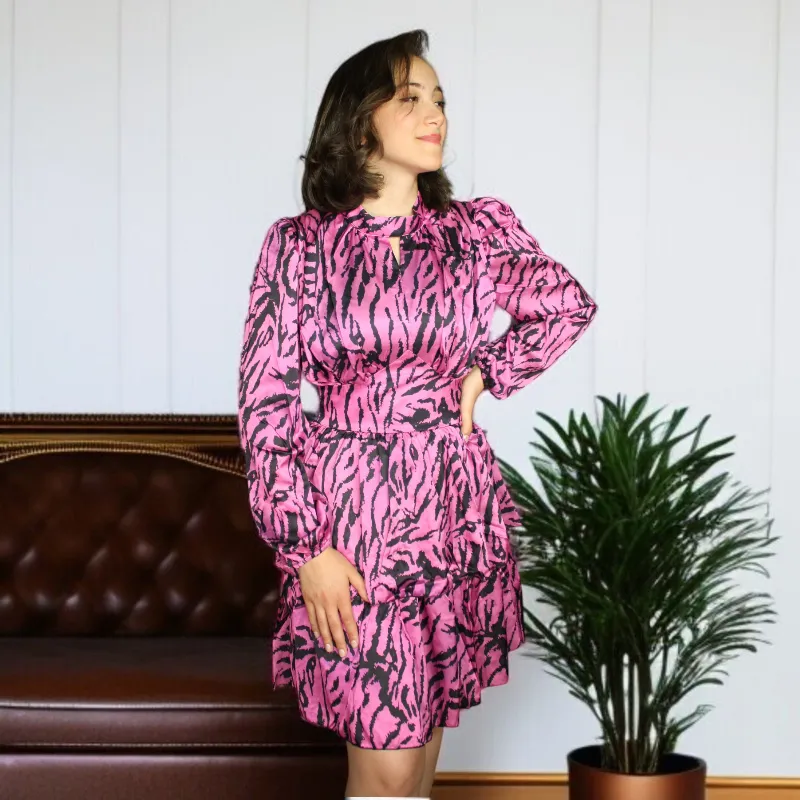 Zebra Shirred Frill Long Sleeve Mini Dress
