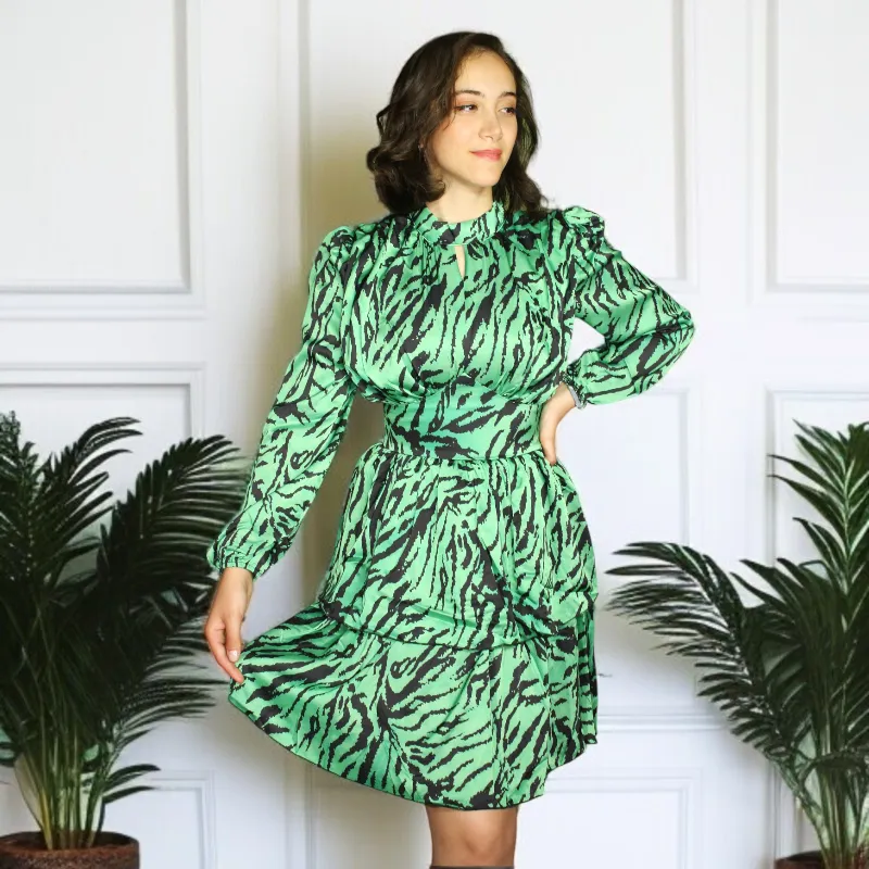 Zebra Shirred Frill Long Sleeve Mini Dress