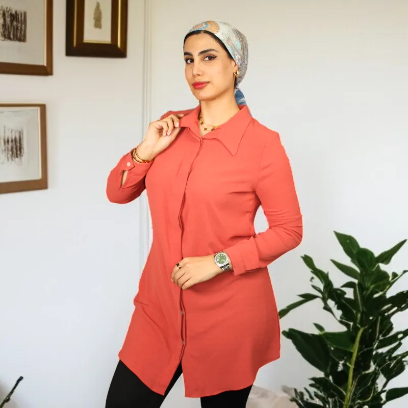 Women's Shirt Collar Straight Long Sleeve