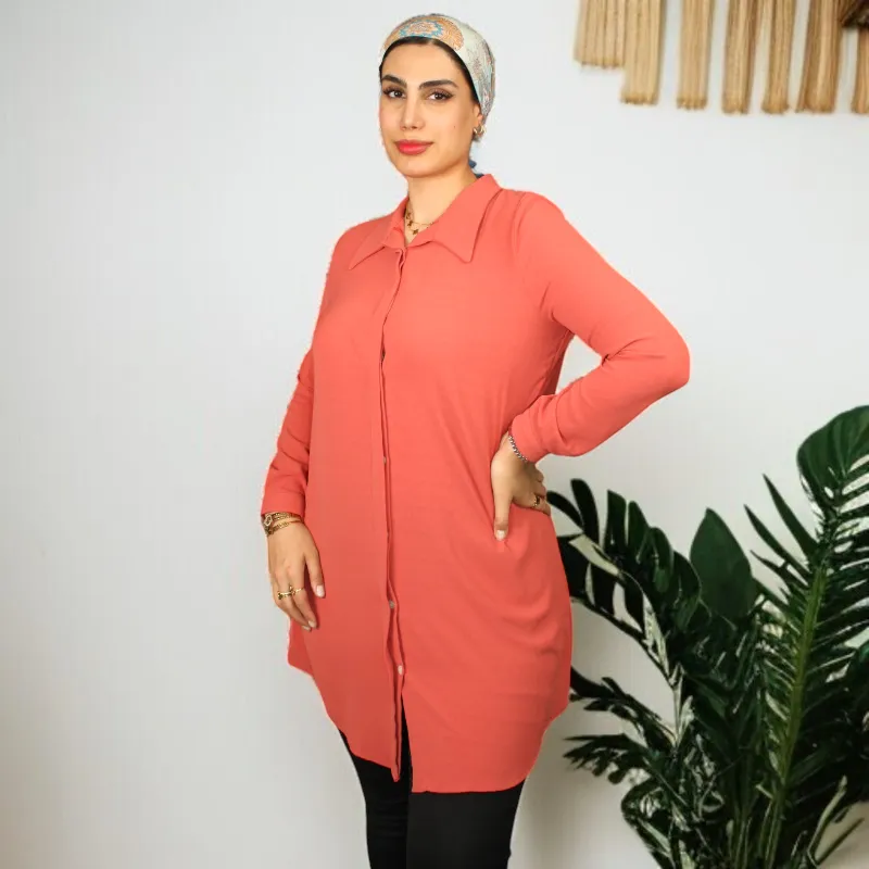 Women's Shirt Collar Straight Long Sleeve