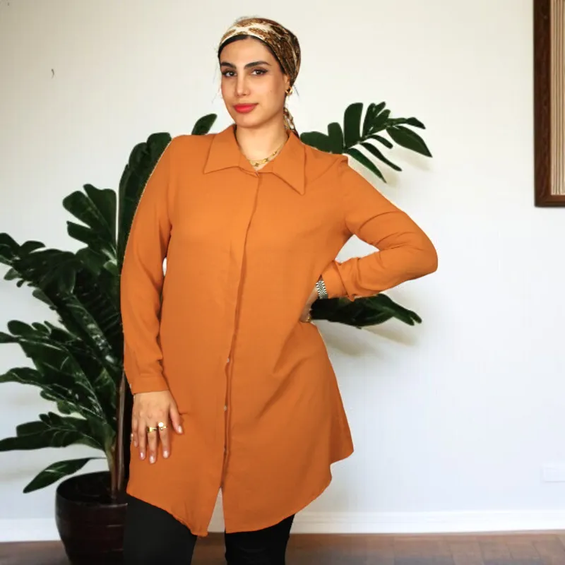 Women's Shirt Collar Straight Long Sleeve