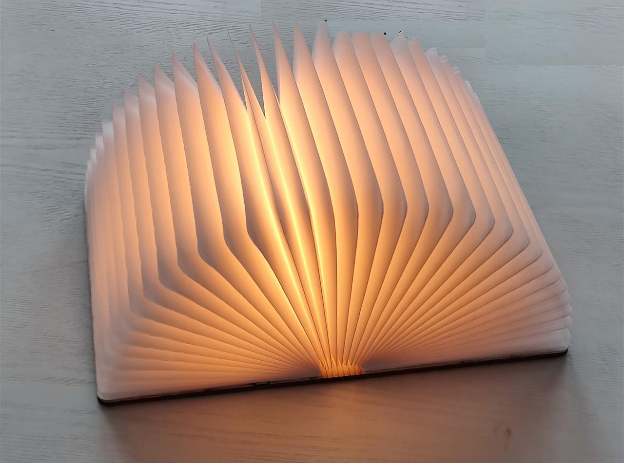 Hanar Book Lamp
