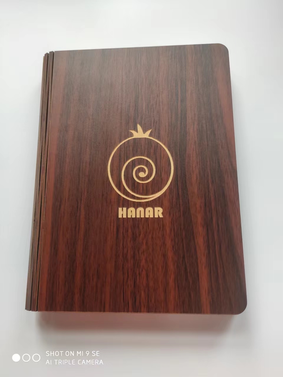 Hanar Book Lamp