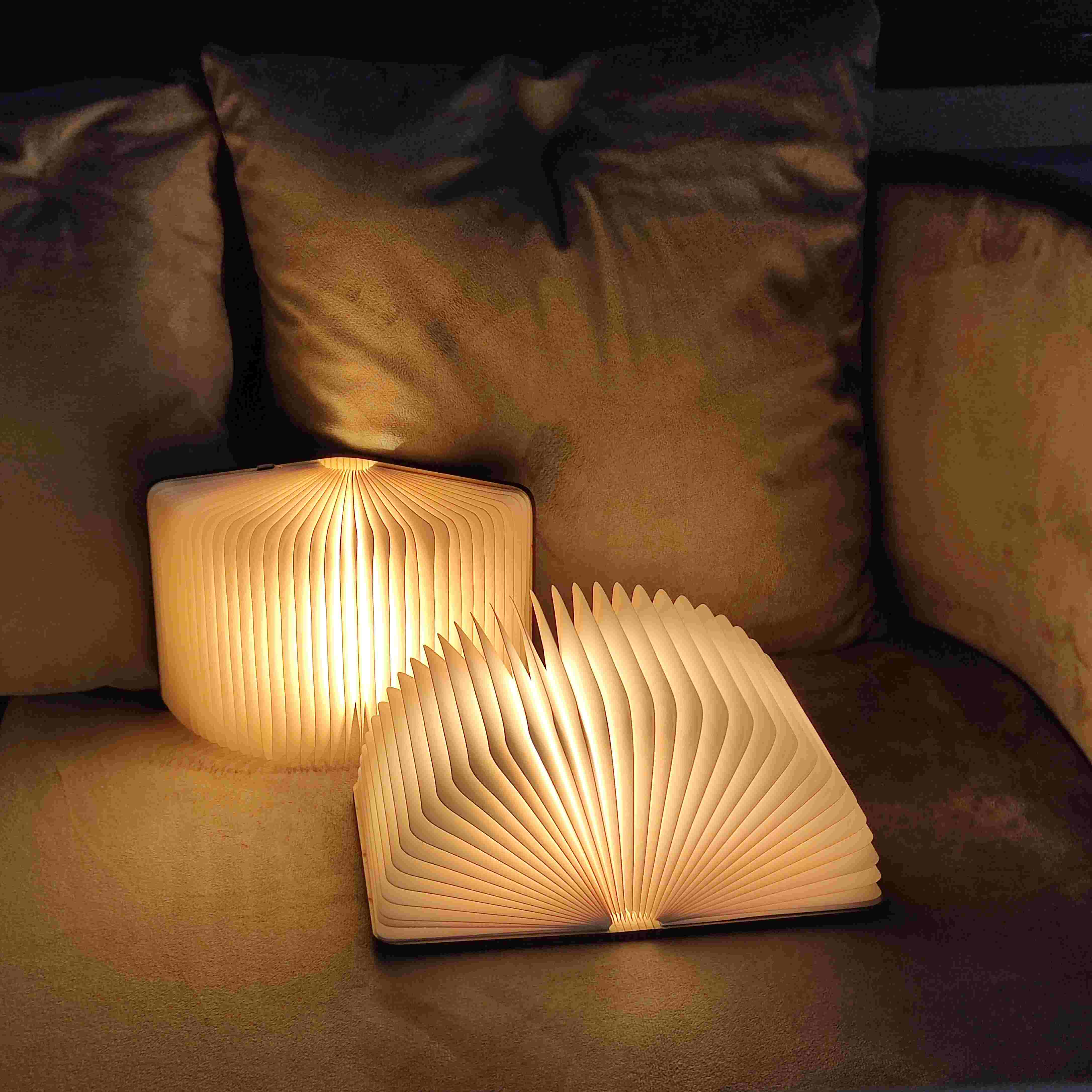 Hanar Book Lamp