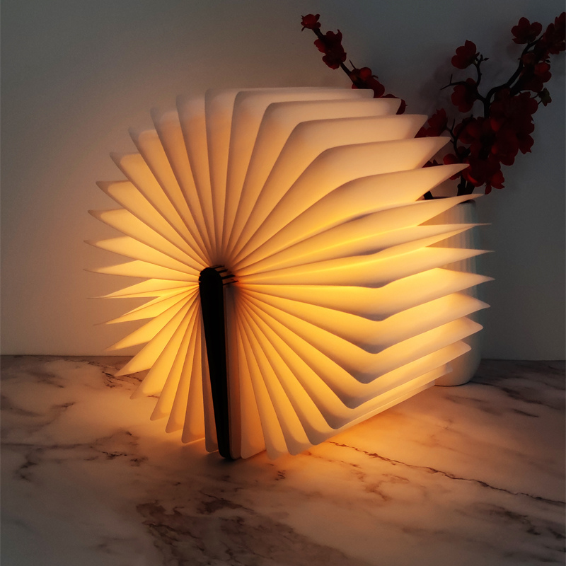 Hanar Book Lamp