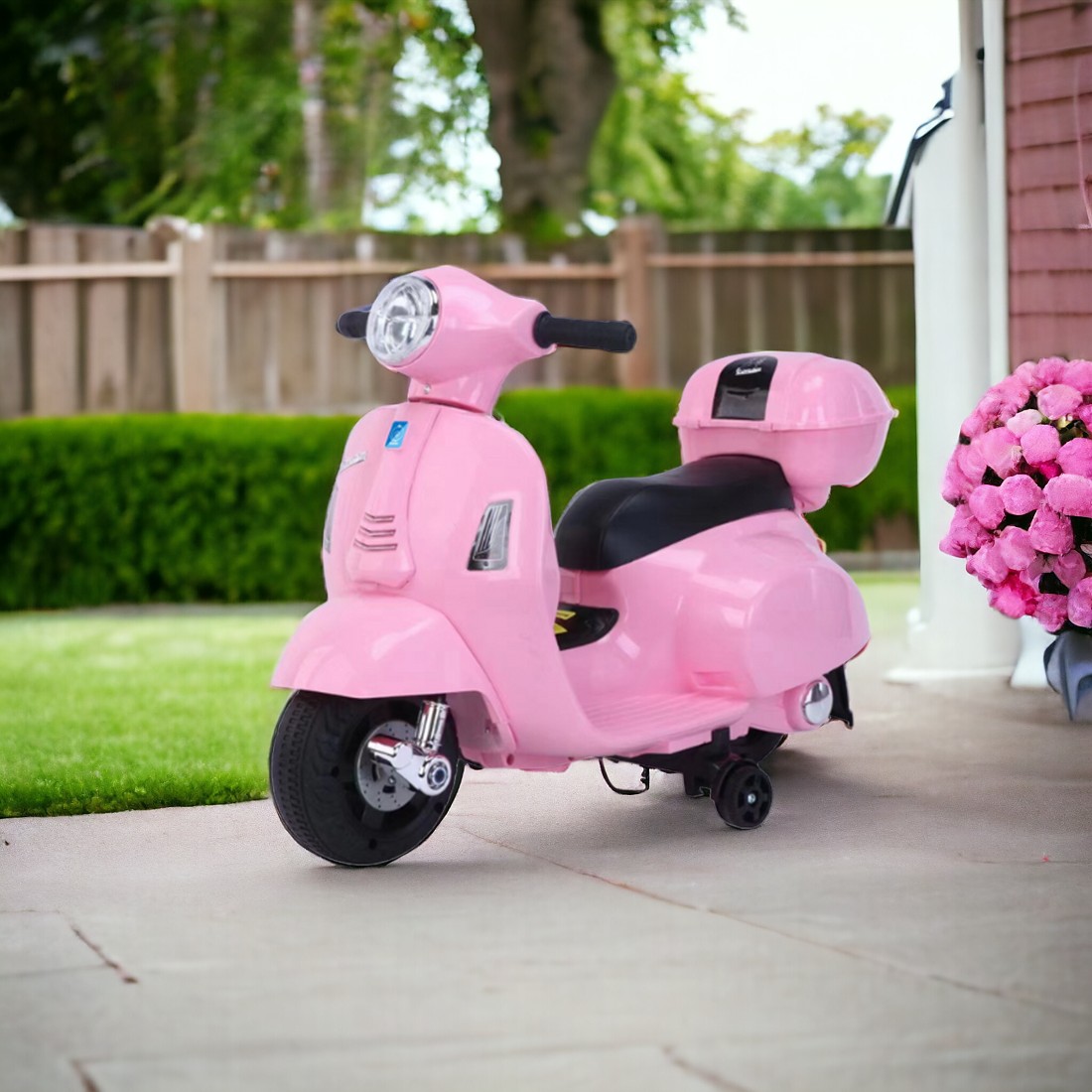 3 Wheels Electric Motorbike ( 1-6 Years )