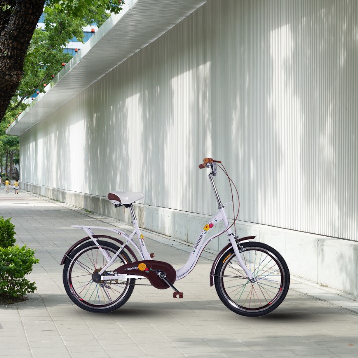 Hanar Bicycle 20 Inch ( Dream )