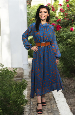 Woman's Dress