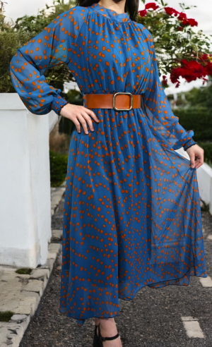 Woman's Dress