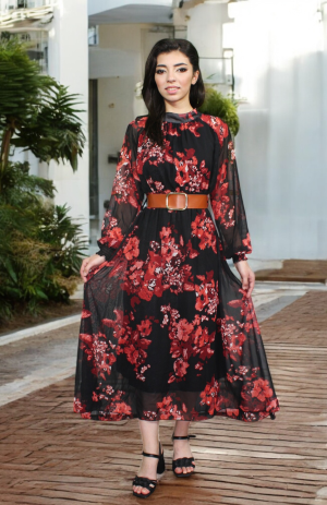 Woman's Dress