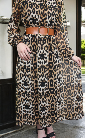 Woman's Dress