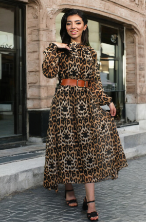 Woman's Dress