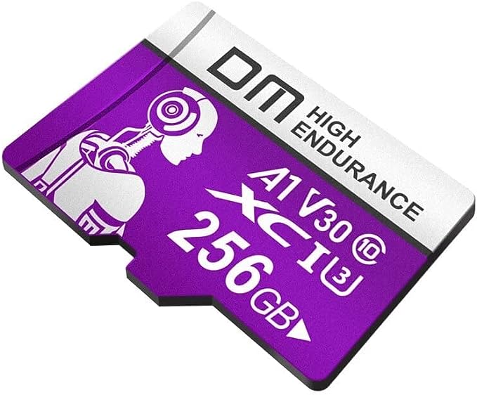 DM TF CARD-PURPL - MicroSD 256GB