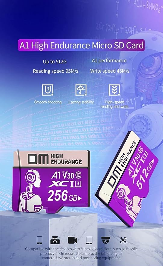DM TF CARD-PURPL - MicroSD 256GB