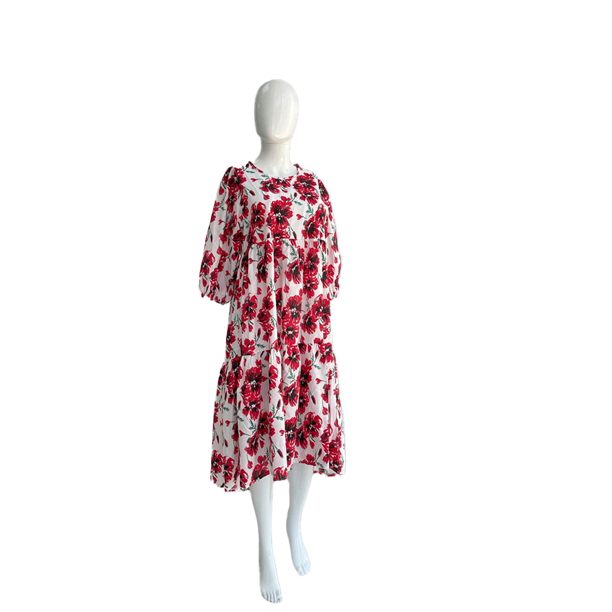 Woman's Dress