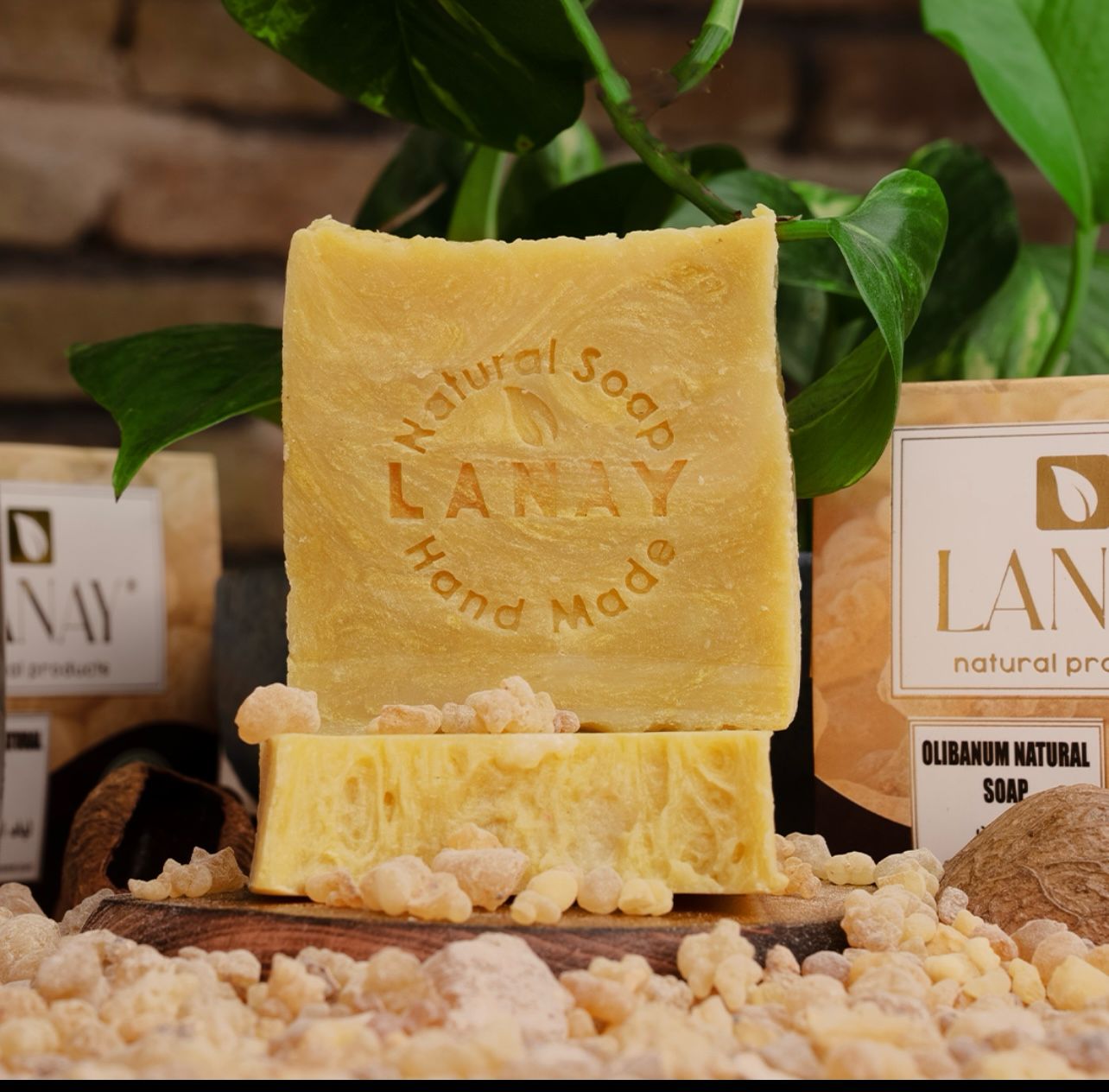 Olibanum soap