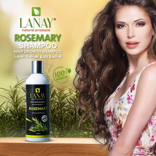 Shampoy rosemary