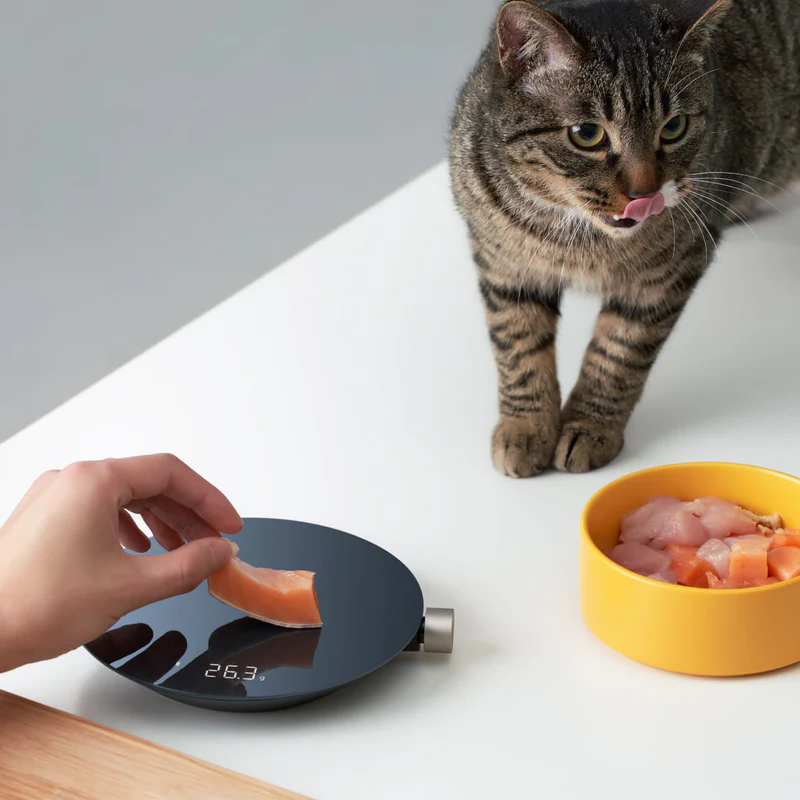 Hoto Smart Kitchen Scale