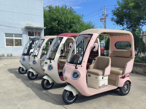 Electric Tricycle motor Quotation  - MTH800DZK